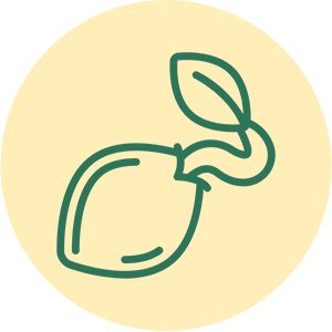 Seeds