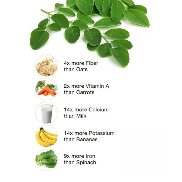 Organic Moringa Leaf Powder - Metabolism & Energy Support